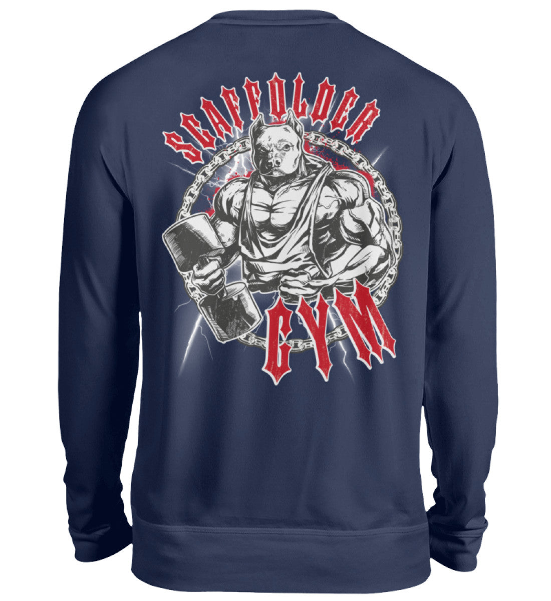 New French Navy-1676