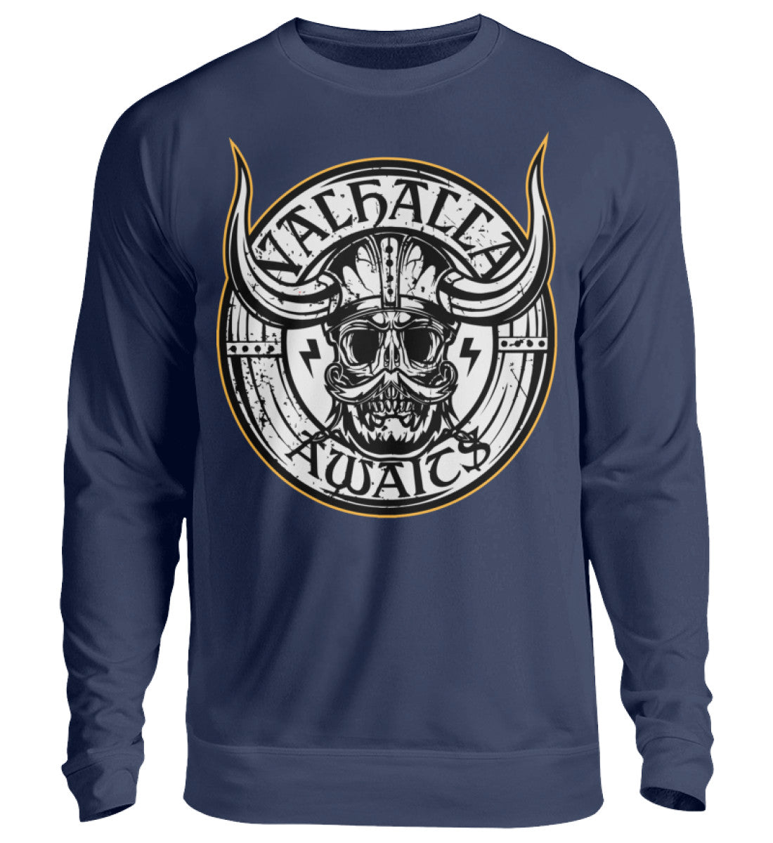 New French Navy-1676